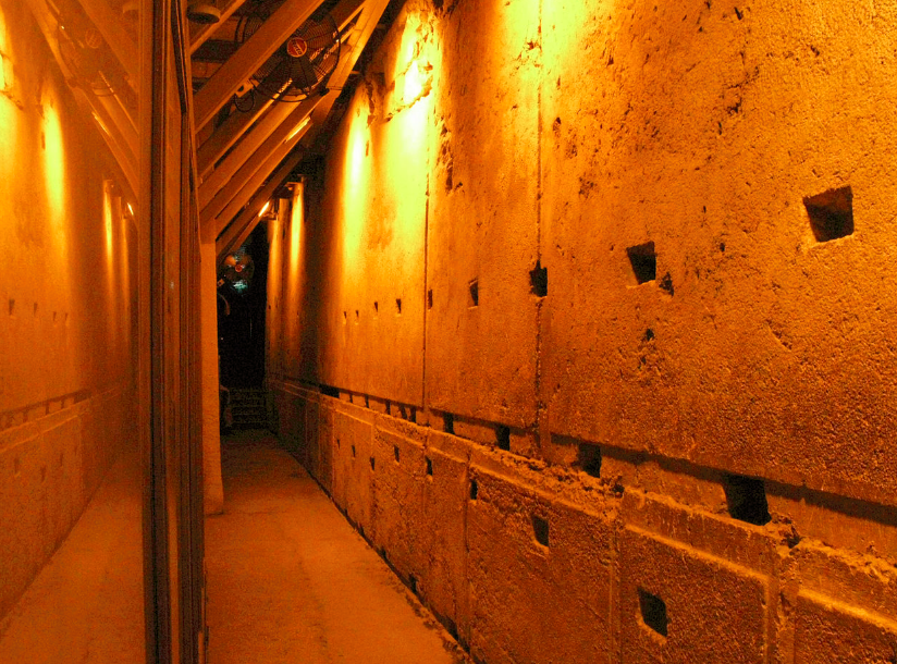 western wall ZoomIsrael